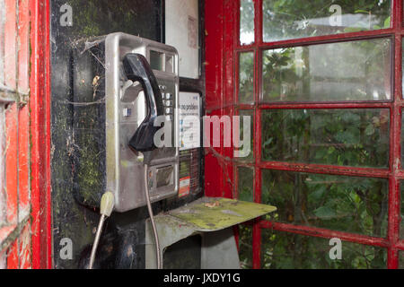 Fermanagh,UK, in disuso Telefono Rosso Box coperti con Gossamer,Seta Bonzo credito/Alamy.com Foto Stock