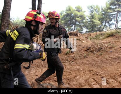 Kalamos, Grecia. 15 Agosto, 2017. Un vigile del fuoco salva un uccello dalla fiamma come gli incendi boschivi rage vicino al villaggio di Kalamos, a nord di Atene, Grecia, il 15 agosto 2017. La Grecia ha chiesto la protezione civile europea di assistenza su Martedì per contribuire a combattere gli incendi boschivi che infuria nei pressi di Atene, un portavoce del servizio antincendio, Stavroula Malliri ha detto a un briefing con la stampa. (Xinhua/Sotiris Dimitropoulos) Credito: Xinhua/Alamy Live News Foto Stock