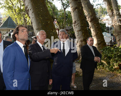 Lisbona, Portogallo. Il 15 agosto, 2017. Presidente portoghese Marcelo Rebelo de Sousa (2a L, anteriore) ispeziona il sito dove un 200-anno-vecchia quercia è collassato durante una processione religiosa sull'isola portoghese di Madeira, Portogallo, il 15 agosto 2017. Tredici persone sono ora confermato morto e decine di altri feriti dopo un grande albero crollato sull'isola portoghese di Madeira intorno a mezzogiorno di martedì, i media locali hanno riferito. Credito: Helder Santos/Xinhua/Alamy Live News Foto Stock