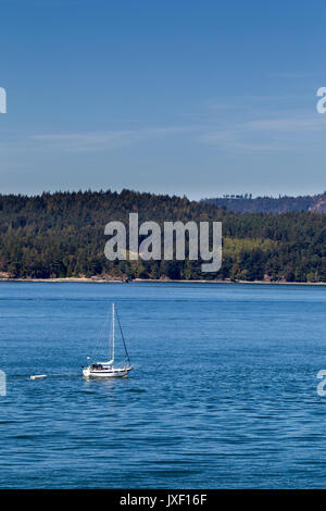 Isole del golfo nello Stretto di Georgia vicino l'isola di Vancouver, Canada. Foto Stock