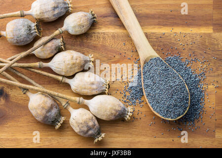 Essiccato teste di papavero e semi. Papavero blu. Vista dall'alto. Foto Stock