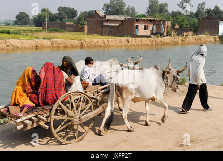 INDIA Uttar Pradesh bassa casta Dalit e donne in frazioni di Bundelkhand / INDIEN Uttar Pradesh, Frauen unterer Kasten und Kastenlose Frauen in Doerfern in Bundelkhand Foto Stock