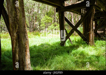 Vecchio legname in disuso il ponte ferroviario in bushland vicino a Daylesford, Victoria, Australia Foto Stock