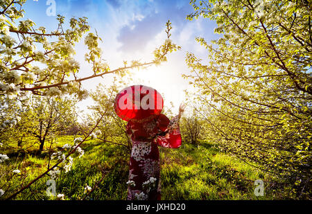 Silhouette di donna in kimono con ombrellone rosso nel giardino con fiori di ciliegio a sunrise Foto Stock