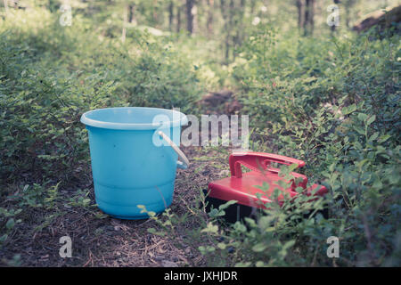 Berry strumenti di prelievo, un cucchiaio e berry picker su un sentiero nel bosco Foto Stock