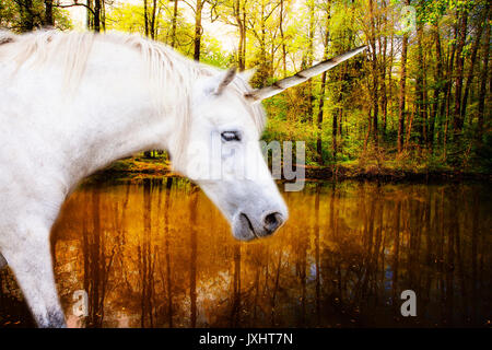 Unicorn pronto per bere acqua naturale da deep forest Foto Stock