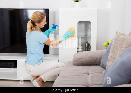 Giovane donna utilizzando la bottiglia spray e panno per pulire i mobili della casa Foto Stock