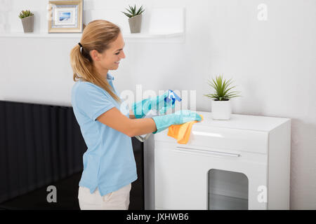 Giovane donna utilizzando la bottiglia spray e panno per pulire i mobili della casa Foto Stock