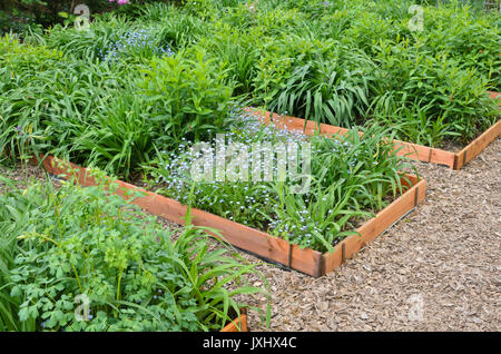 Dimenticare me not (myosotis) e giorno gigli (Hemerocallis) in letti di propagazione. design: marianne e detlef lüdke Foto Stock