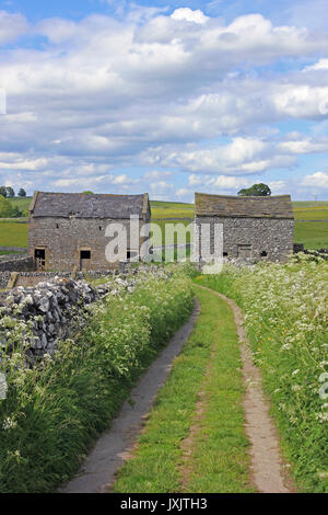 Coppia di fienili in pietra, nr Hartington, Derbyshire, Regno Unito Foto Stock