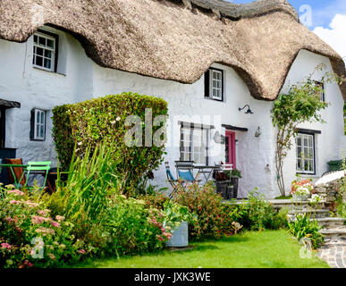 Intorno al villaggio Coverack sulla penisola di Lizard Cornwall Inghilterra REGNO UNITO Foto Stock