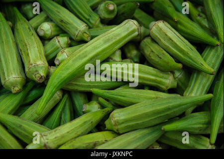 Cibo di sfondo - l'okra fresco impianto. Visualizzazione di freschi Abelmoschus esculentus, comunemente noto come okra vegetali ad Mercato del contadino. Foto Stock