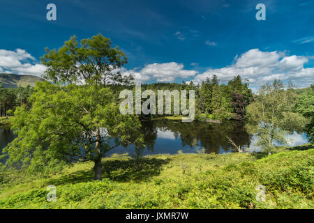 Tarn Howes Cumbria Foto Stock