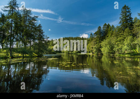 Tarn Howes, Lake District Cumbria Foto Stock