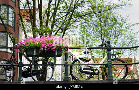 Due biciclette incatenati e la fioritura delle piante su un ponte sul canale di Amsterdam Foto Stock