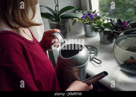 Sulla spalla vista della donna di irrigazione delle piante in vaso sul davanzale Foto Stock