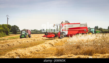 LA MASSIMILIANO GIRAUD, Francia - Luglio 07, 2017 : combinare i raccolti di grano in un campo in estate Foto Stock