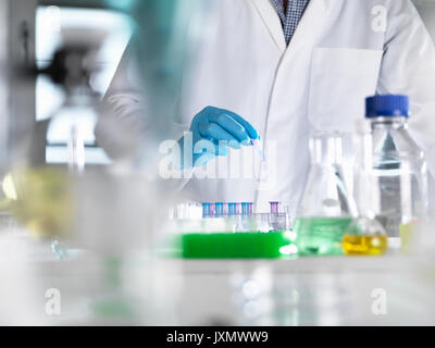 Scienziato la preparazione di campioni di DNA per il test in laboratorio Foto Stock