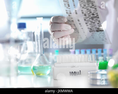 Scienziato visualizzazione di un gel di DNA durante un esperimento in laboratorio Foto Stock