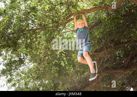 Ragazzo pendente dal ramo di albero guardando sorridente della fotocamera Foto Stock