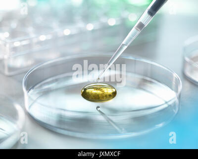 Scienziato il pipettaggio di un campione in terreno contenente batteri per la ricerca scientifica in laboratorio Foto Stock