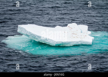 Antartide - Non-Tabular Iceberg - Pinnacle conformato iceberg alla deriva nell'Oceano - Antartide in un giorno nuvoloso Foto Stock