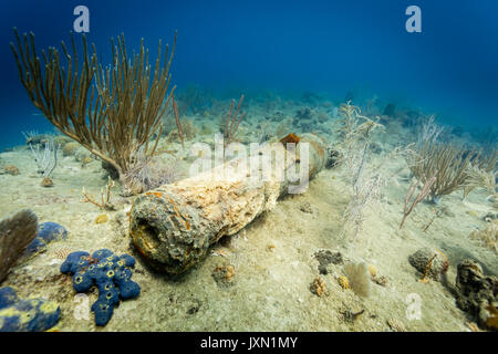Vista dettagliata del cannone dal vecchio naufragio sulla barriera corallina nei tropichi Foto Stock