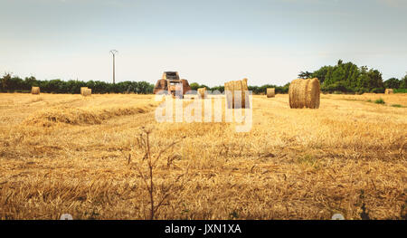 Resti di una rotopressa dopo un fuoco in mezzo a un campo durante la mietitura del grano 2017 Foto Stock