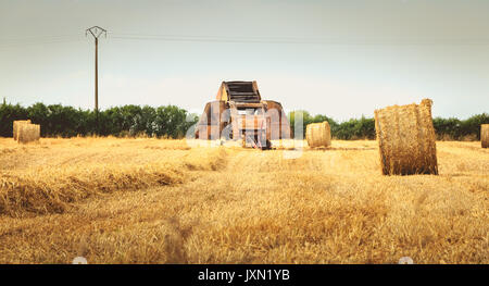 Resti di una rotopressa dopo un fuoco in mezzo a un campo durante la mietitura del grano 2017 Foto Stock