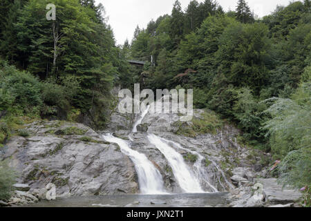 Il torrente Loana cascata sulle rocce circondato da pini, abeti ed altri alberi verdi in Malesco, Valle Vigezzo, Italia Foto Stock