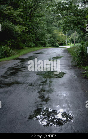 Una foto di una strada con pozzanghere che riflettono gli alberi negli Hamptons, NY. Foto Stock