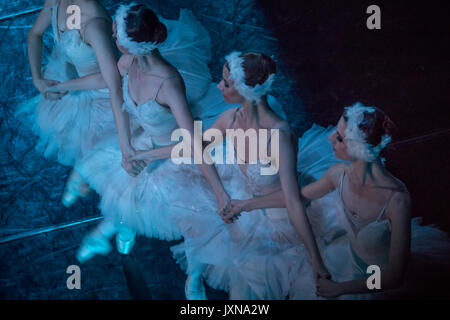 Ballerini eseguono la danza dei piccoli cigni durante il balletto "Lago wan' al palcoscenico teatrale a Mosca, Russia Foto Stock