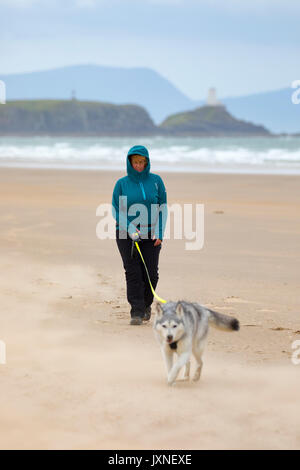 Una donna che cammina da sola con un husky cane al guinzaglio durante una giornata di vento a Newborough spiaggia con Ynys Llanddwyn o isola di Llanddwyn nella distanza Foto Stock