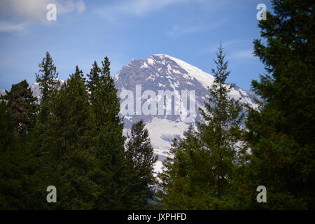 Mt. Rainier Foto Stock