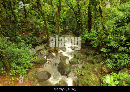 Una vista della bella la Coca rientra in Porto Rico Foto Stock