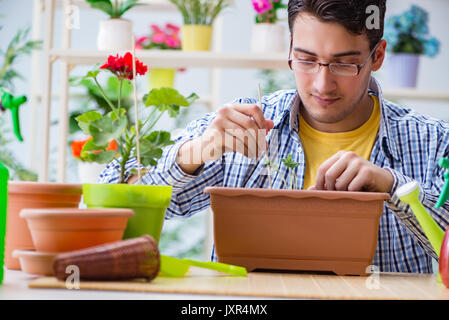 Giovane uomo fioraio lavora in un negozio di fiori Foto Stock