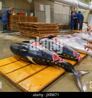 OSAKA, Giappone - 24 ottobre: Osaka centrale mercato all'ingrosso di Osaka in Giappone il 24 ottobre 2014. Conosciuta come la cucina di Osaka ed è il più grande fi Foto Stock