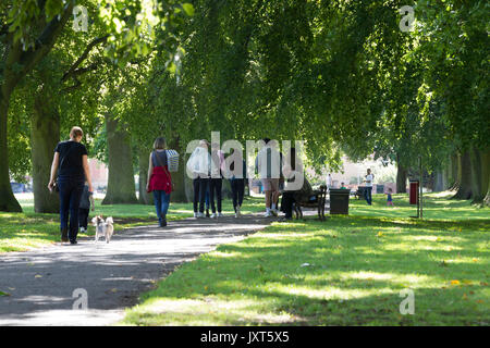 Abington Park, Northampton, meteo, 17 agosto 2017. Sole brillante questo pomeriggio con il caldo tempretures. Le persone camminando lungo il viale di alberi di distanza dal lago in la pezzata ombra. Credito: Keith J Smith./Alamy Live News Foto Stock