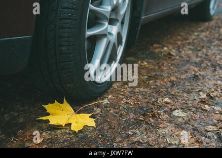 Foglia di acero, ruota e pneumatico closeup sporco sulla strada d'autunno. La sicurezza del traffico sulle foglie scivolose Foto Stock