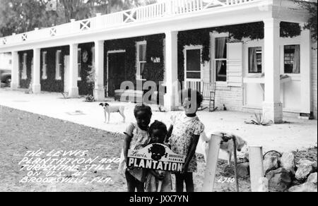 Tre giovani afroamericane con espressioni neutre si trovano all'esterno con un cartello 'Lewis Plantation' sulla piantagione, di fronte all'alloggio, con due cani sullo sfondo, Florida, 1950. Foto Stock