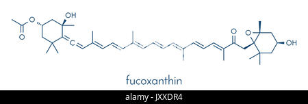 Fucoxanthin alghe brune molecola di pigmento. Ingrediente di alcuni integratori dietetici. Formula di scheletro. Foto Stock
