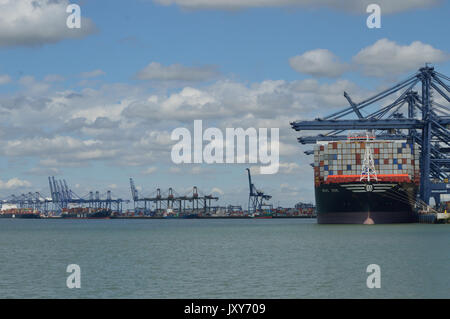 Contenitore nave MSC Rouge visto accanto al porto di Felixstowe Foto Stock