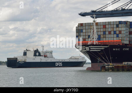 Selandia DFDS Seaways visto arrivare al porto di Felixstowe Foto Stock