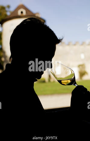 Silhouette di un uomo la degustazione di vino presso Chateau Yquem in Sauternes Foto Stock