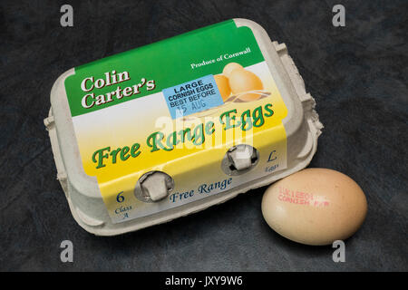 Una scatola chiusa di sei Colin Carter's free range Cornish uova (con uno sul display) da Hazelton Farm, stazione Perranwell, Truro, Cornwall, Inghilterra, Regno Unito. Foto Stock