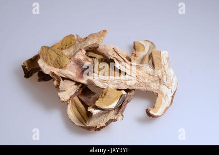 Saugues, sito di produzione della società Borde SA, funghi di bosco specialista. Cumulo di porcini essiccati / funghi porcini.Caption locale *** . Foto Stock