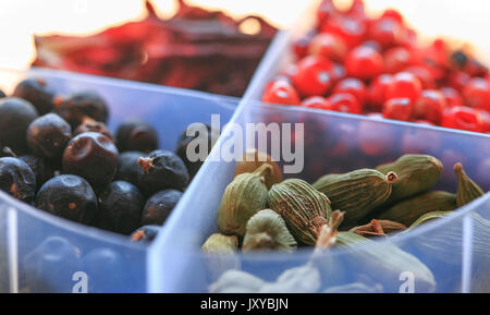 Hibiscus,pepe rosa,cardamomo per rendere il gin tonic Foto Stock