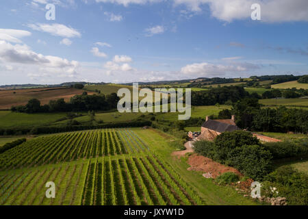 Foto aerea di vigna Brickhouse nel Devon, prese da fuco Foto Stock