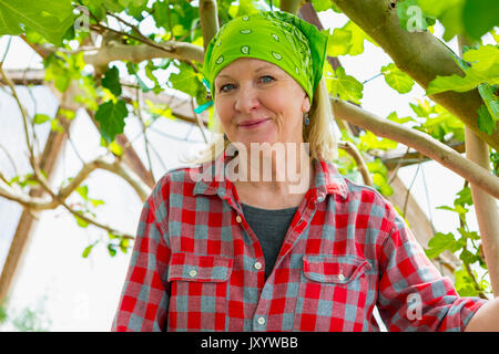 La donna caucasica ponendo in serra Foto Stock