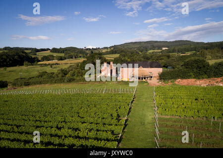 Foto aerea di vigna Brickhouse nel Devon, prese da fuco Foto Stock